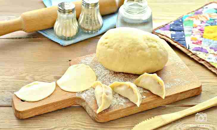 How to make dough for vareniki