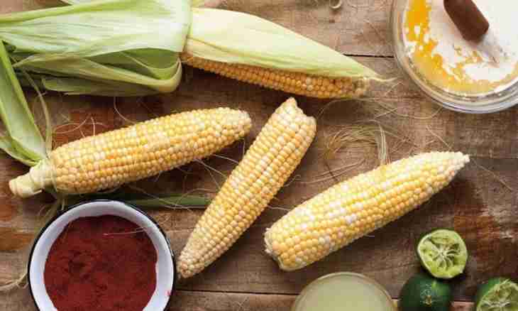 How to prepare corn?