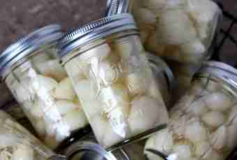How to pickle garlic cloves for the winter