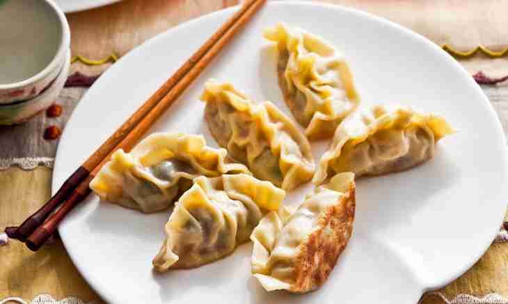 How to make crust for dumplings thin