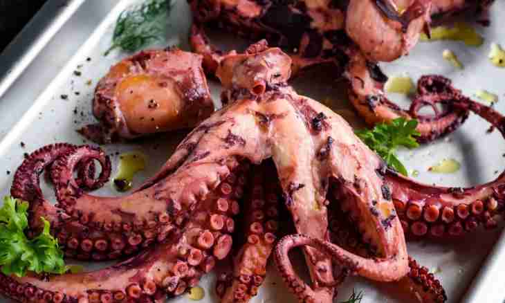 How to cook meat of a squid