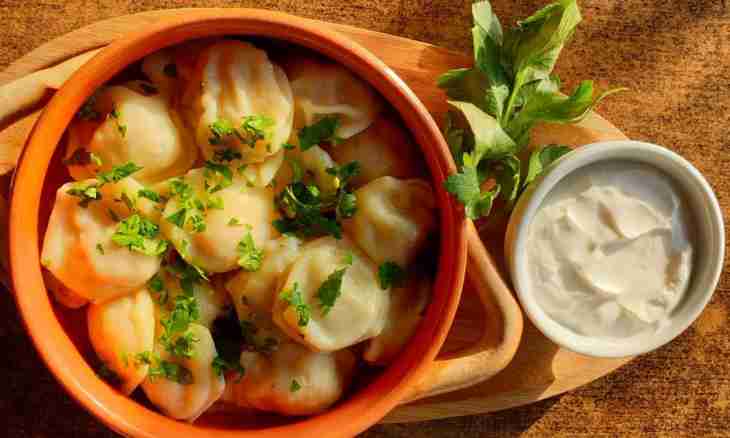 Potato and champignons dumplings