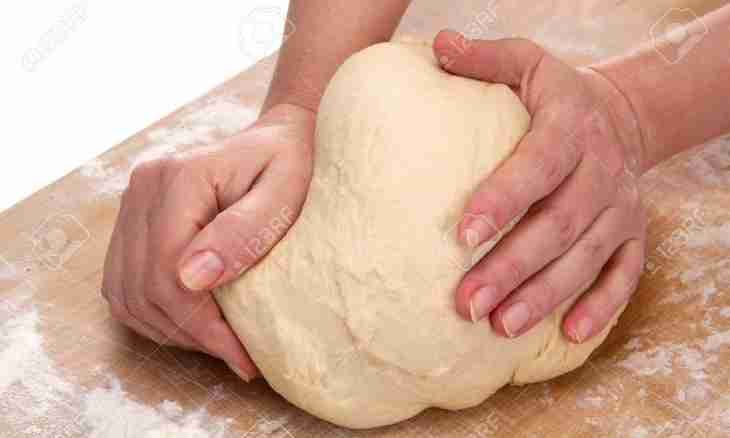 How to knead dumplings dough