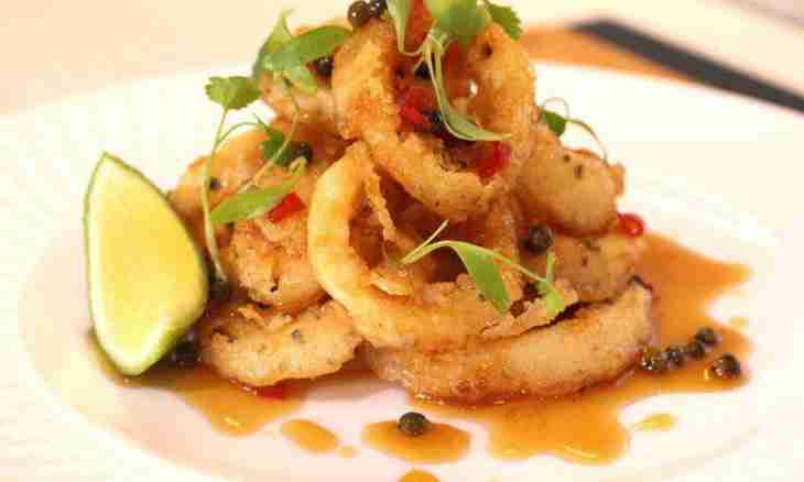 How to cook fillet of a squid