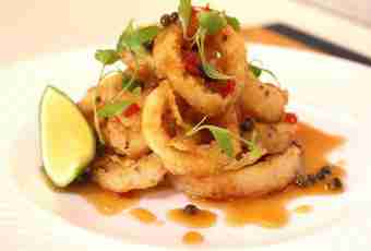 How to cook fillet of a squid