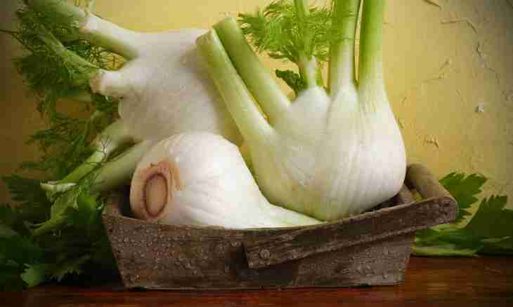 Whether it is possible to freeze fennel