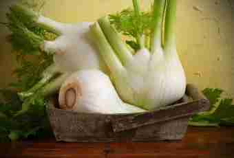 Whether it is possible to freeze fennel