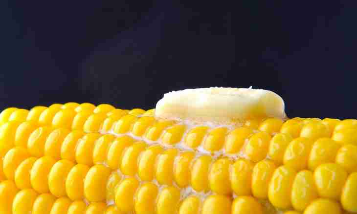 How to preserve corn