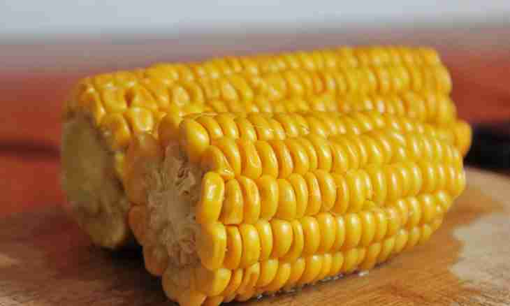 How to cook ear corn
