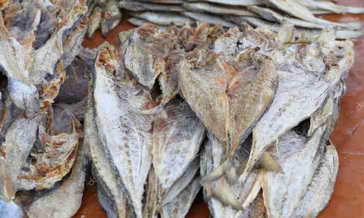 How to salt fish for drying