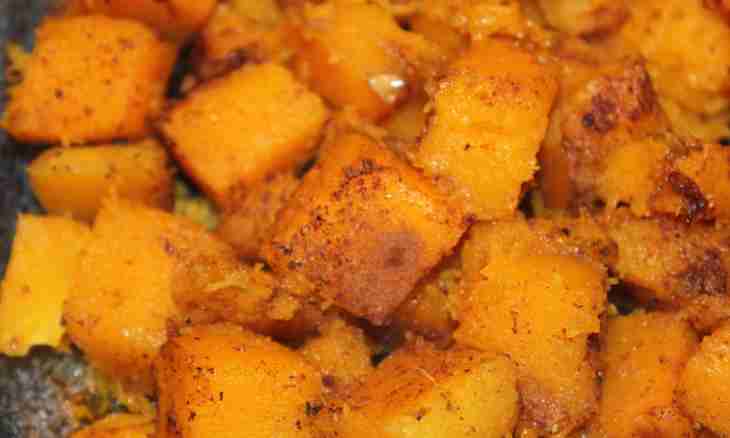 How to prepare simple squash dishes