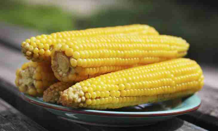 How tasty to prepare corn