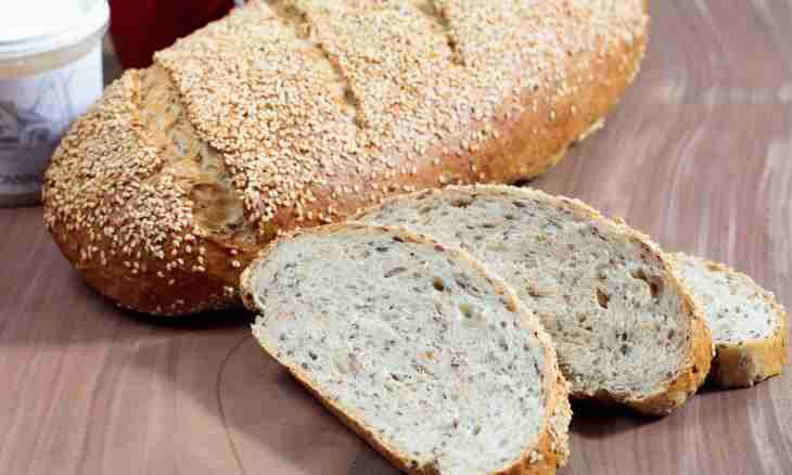 Recipes of dishes from whole-wheat flour