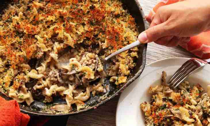 Recipes of dishes of Italian cuisine: paste with chicken and mushrooms in creamy sauce