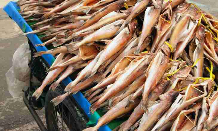 How to dry fish