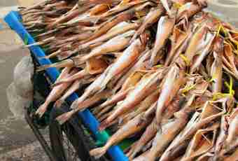 How to dry fish