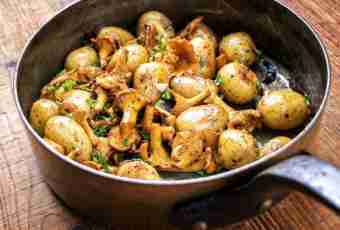 How to fry young potato with chanterelles