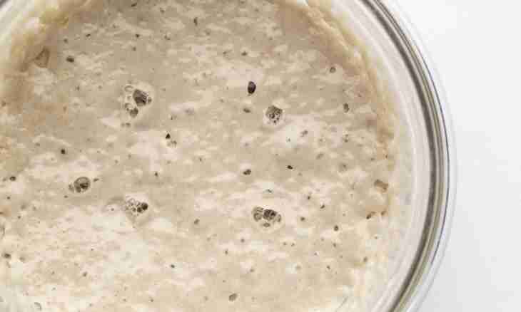How to make yeast from hop