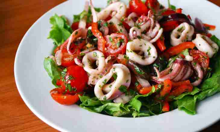 Recipes of salads with squids