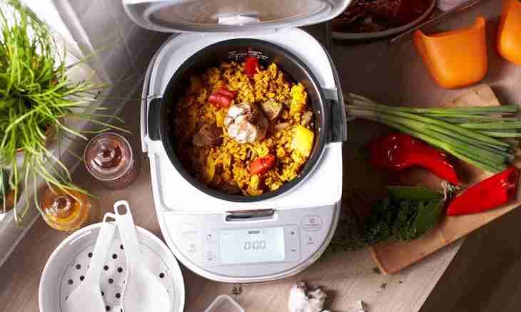 Casserole with forcemeat in the multicooker