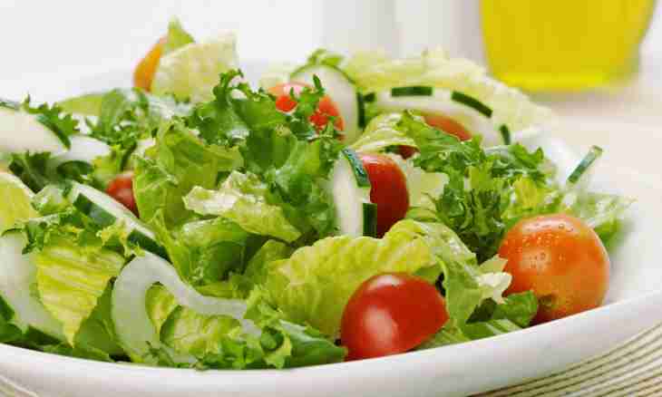 Green tomatoes salad
