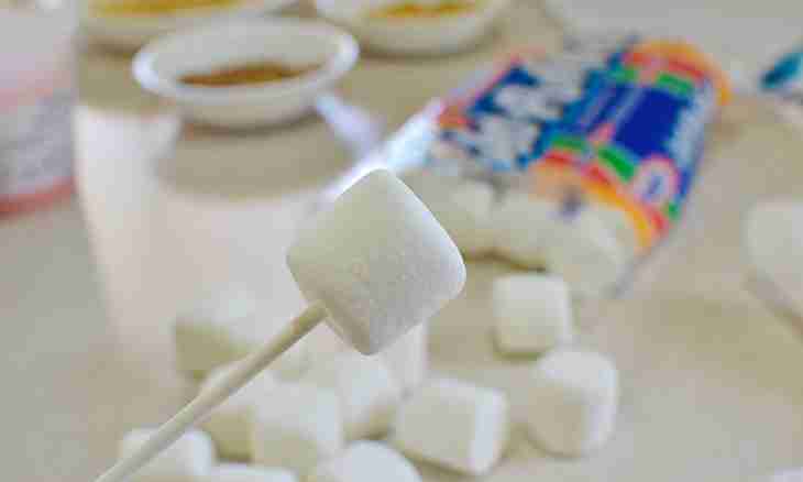 How to make apple marshmallows of the house