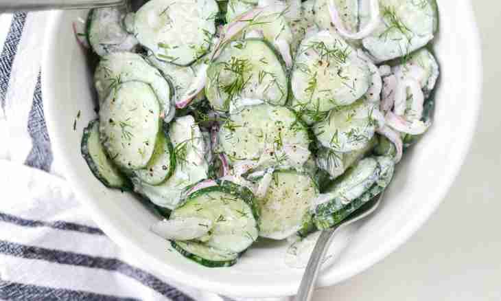 Fresh-salted cucumbers with lyubistoky: recipe