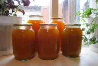 How to prepare a pumpkin comminuted juice for the winter