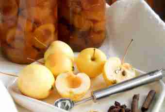 Soaked apples in house conditions: recipes