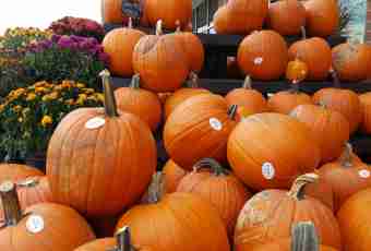 How to do preparations of pumpkin for the winter