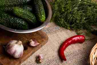 Recipe of the Bulgarian cucumbers
