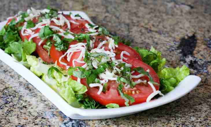 Recipes of salads with tomatoes