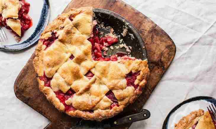Recipes of dishes from a chokeberry: tincture and pie