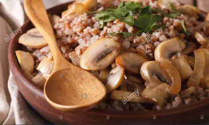 Buckwheat champignons soup on kvass