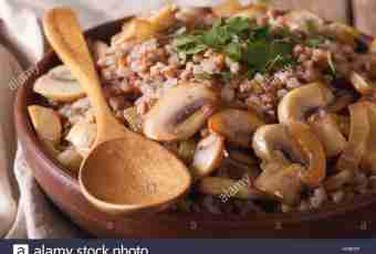 Buckwheat champignons soup on kvass
