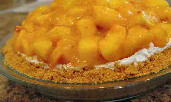 Nut cheese pie and apricots