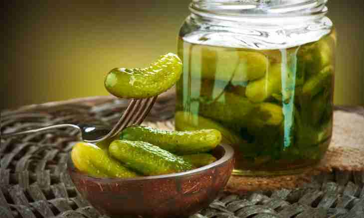 Fast cucumber pickles with caraway seeds