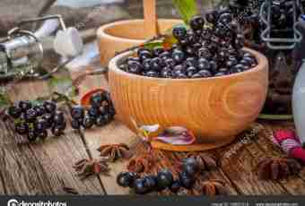 What to prepare from a chokeberry