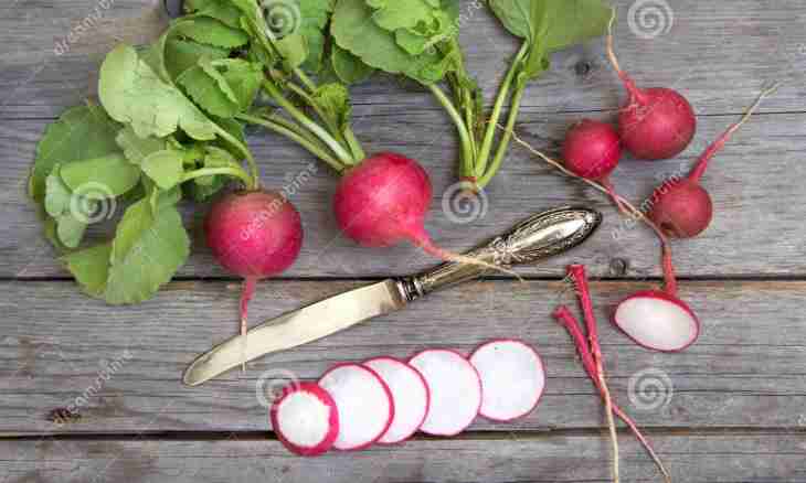 How to roll up adjika with horse-radish