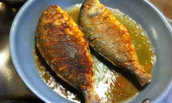 How to fry fish without flour