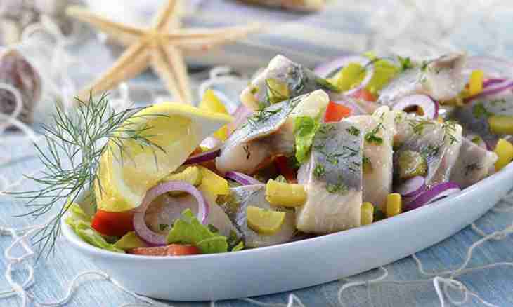 Recipes of salting herring