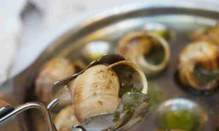 How to prepare snails