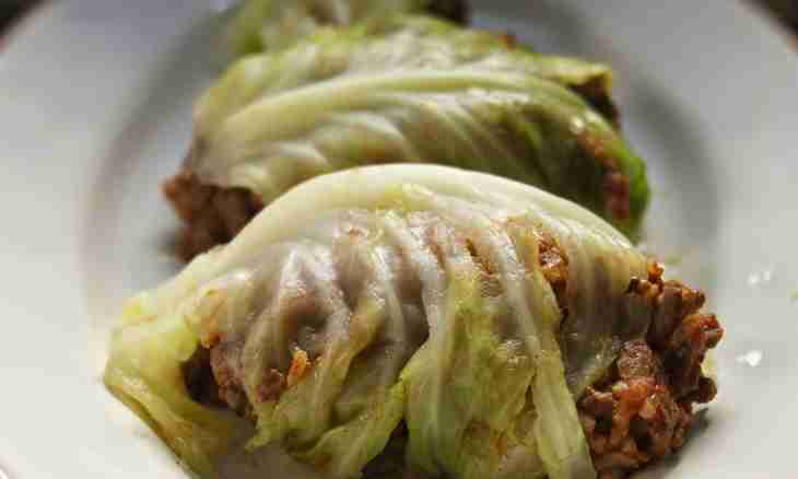 Lazy stuffed cabbage leaves: simple recipe