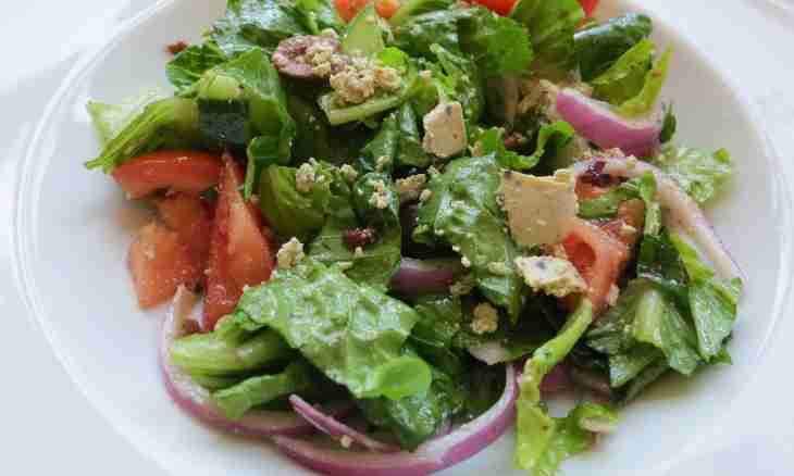 Salad with language (layers)