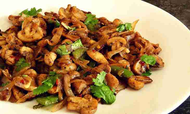How to make tasty sauce of dried mushrooms