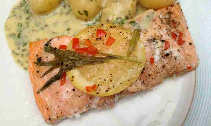 How to bake a salmon in an oven