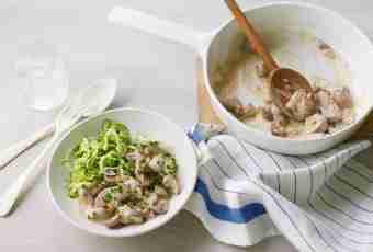 Add a little tenderness to the diet: creamy mushroom sauce