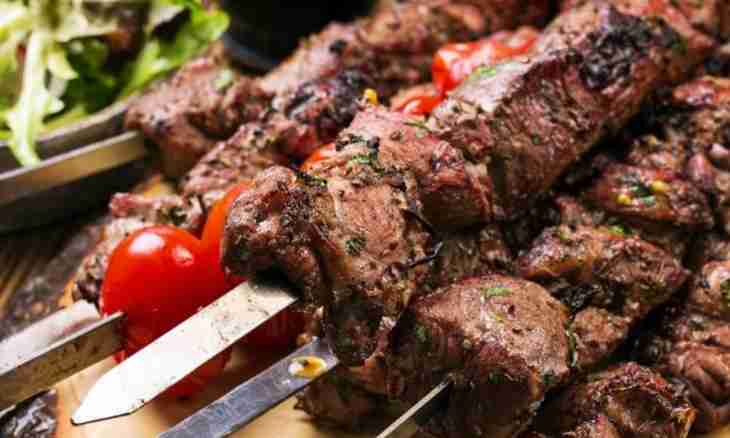 Shish kebab in an oven from pork in a sleeve