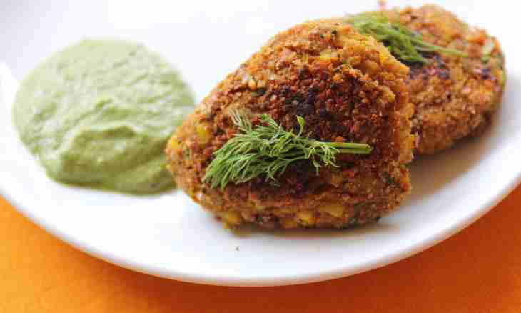 Vegetable cutlets with a turkey