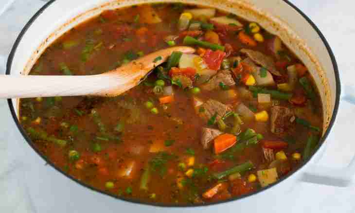 Beef and vegetables soup in a pot